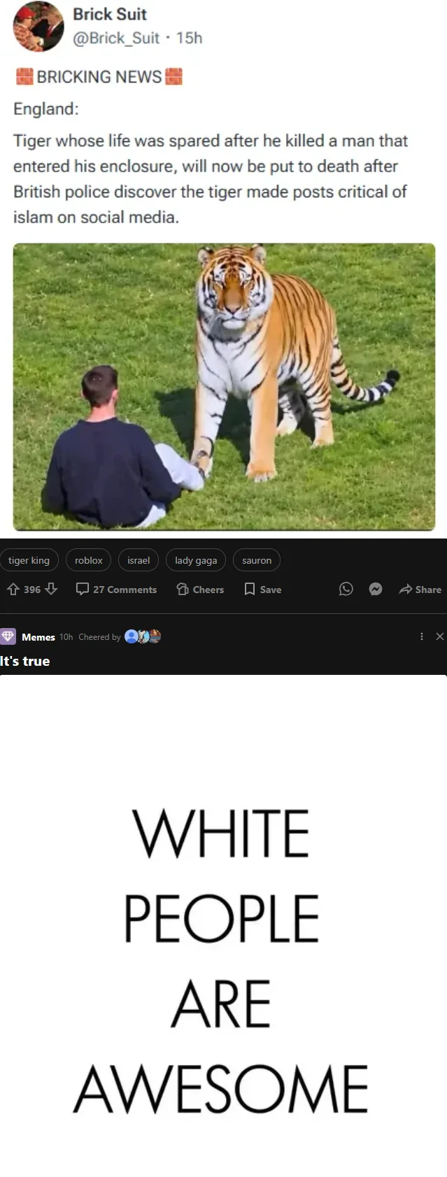 A satirical social media post featuring a tiger and a provocative statement - Memes on Aviaclip