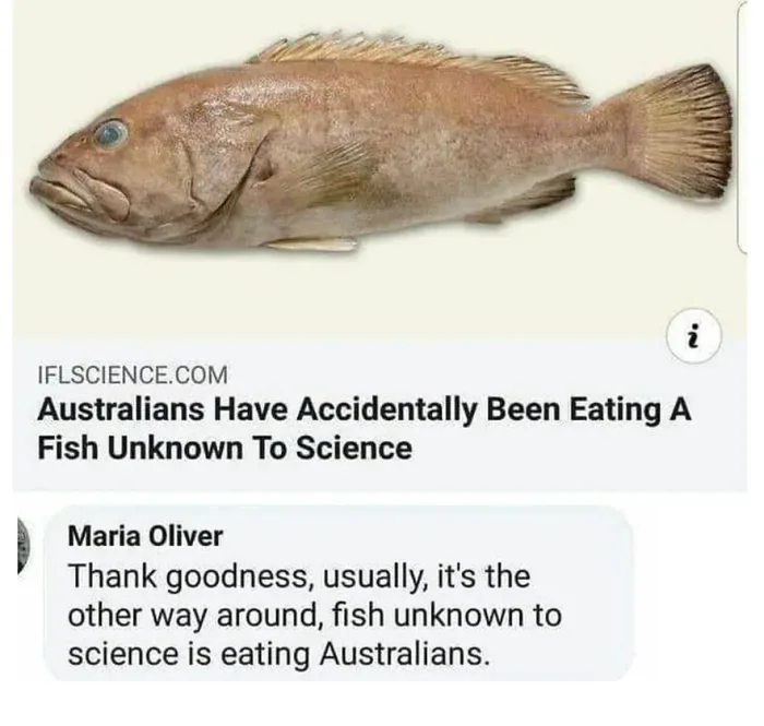 Australians Have Been Accidentally Consuming a Fish Species Unknown to Science
