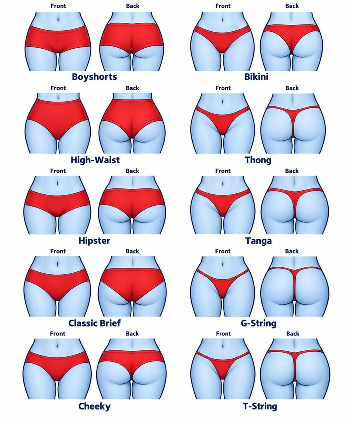 A Visual Guide to Common Women's Underwear Styles - Interesting on Aviaclip
