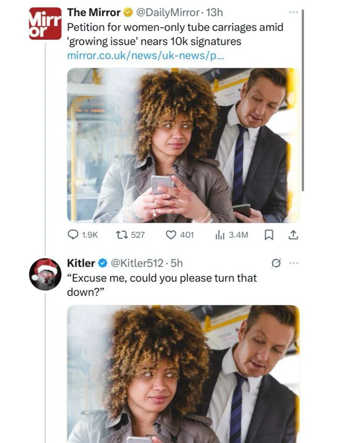 Social Media Reaction to Petition for Women-Only Public Transit Carriages