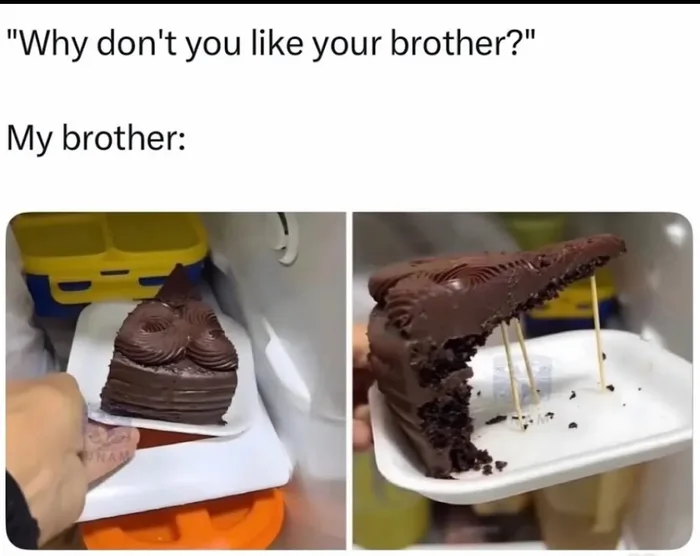 The Ultimate Sibling Prank: A Chocolate Cake Deception