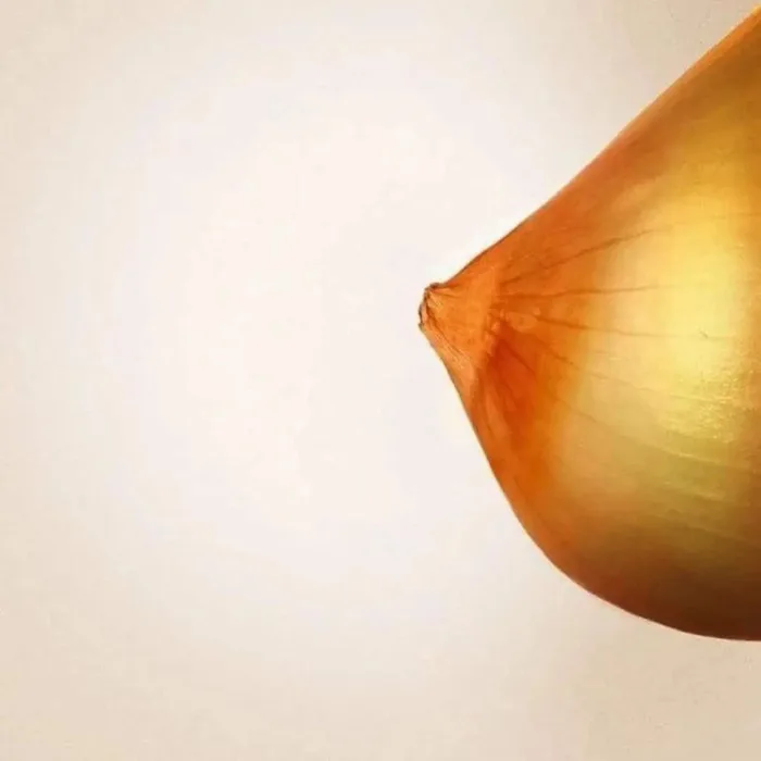 A Perfectly Shaped Onion Captured in a Suggestive Silhouette