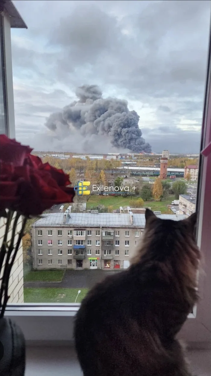It's drone season right now and I found the perfect cozy airbnb for drone watching in St. Peterburg, most beatiful city in Russia