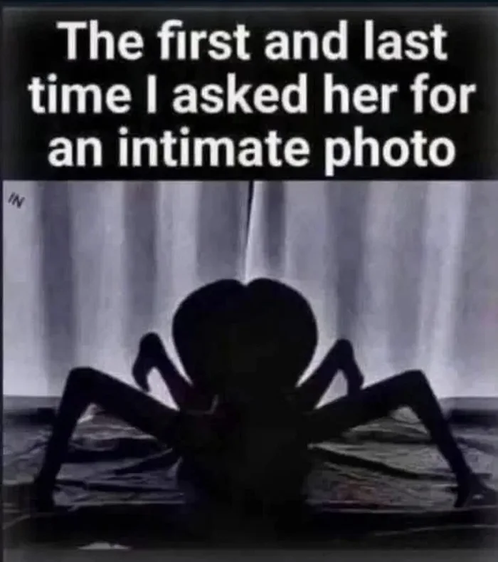 A Backlit Silhouette That Looks Like a Giant Spider - Memes on Aviaclip