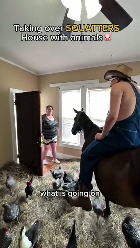 Homeowner Confronts Squatters Who Turned Living Room Into a Barn
