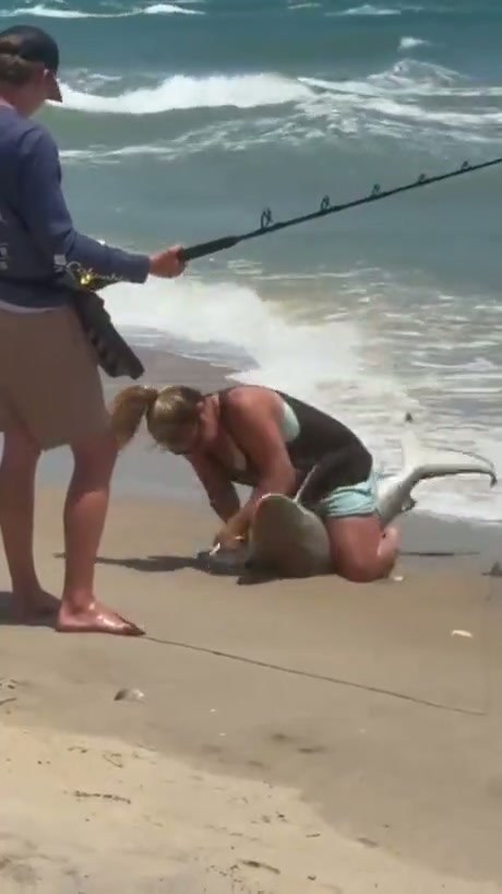 Woman Safely Removes Fishing Hook from Shark on Beach