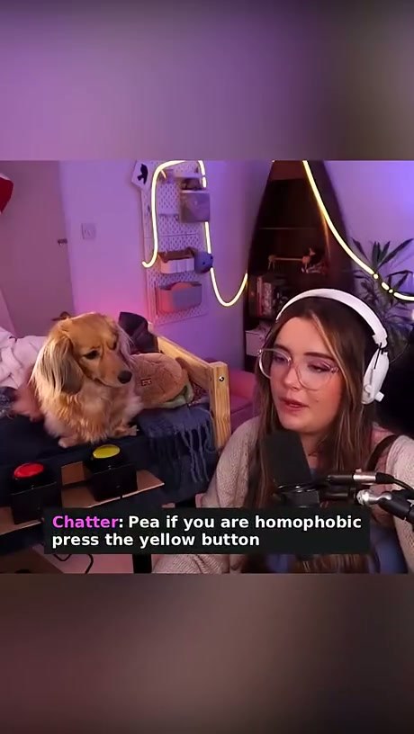Dog Presses Button During Livestream Interaction