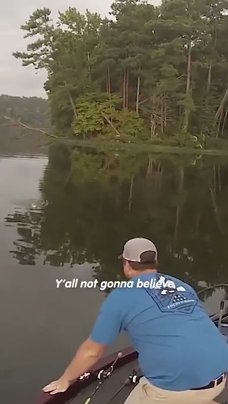 Fishermen Rescue Kitten Found Swimming in the Middle of a Lake