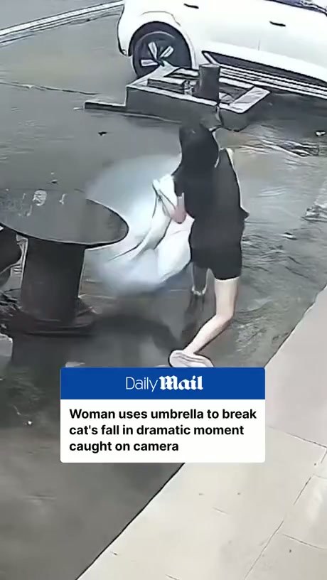 Woman Uses Umbrella to Break Cat's Fall in Guangxi