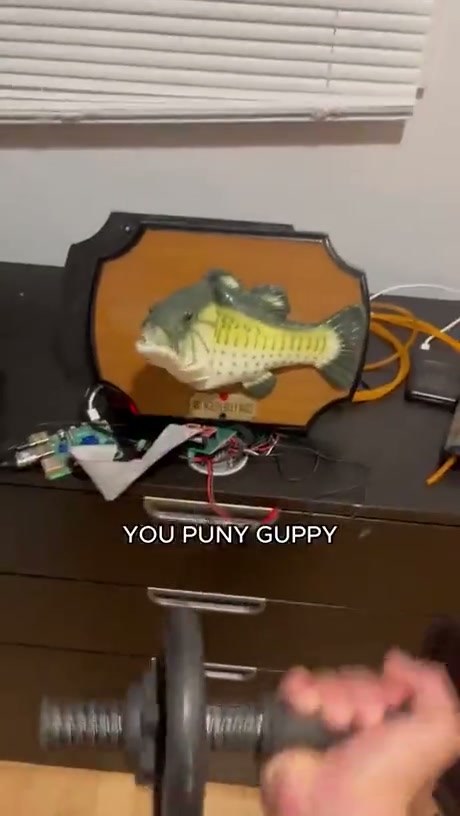 This AI-Powered Singing Fish Is Now a Personal Fitness Coach