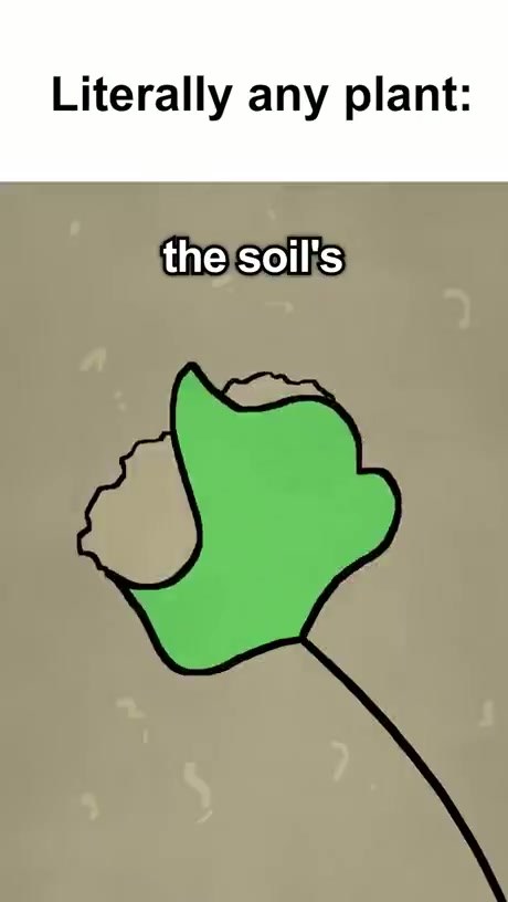 The Dramatic Difference Between Typical Plants and Potatoes