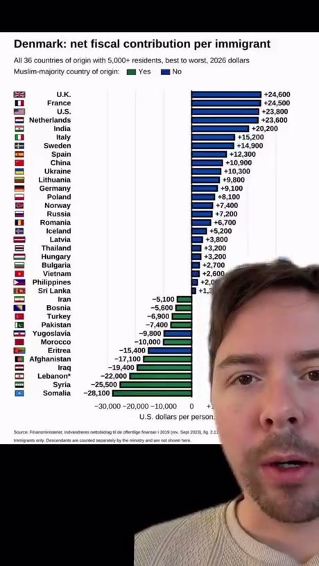 Data Visualization of Net Fiscal Contributions by Immigrants in Denmark