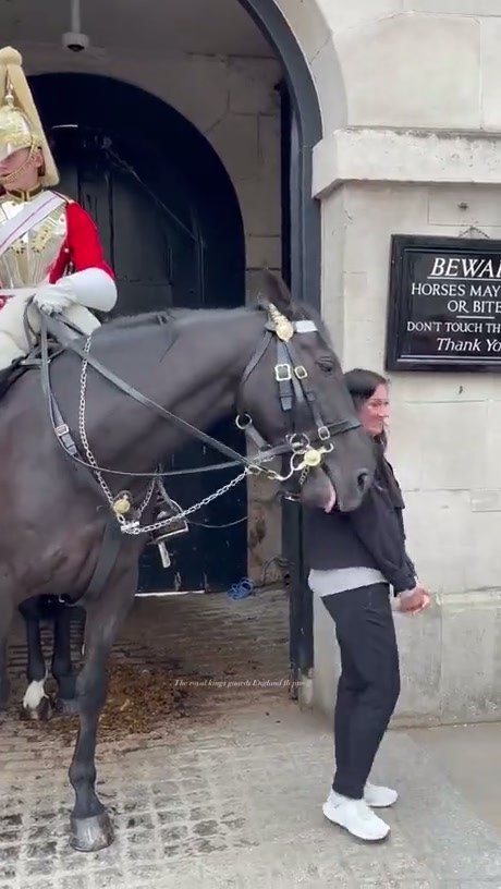 Tourist Ignores Warning Sign and Gets a Nudge from a Royal Guard Horse