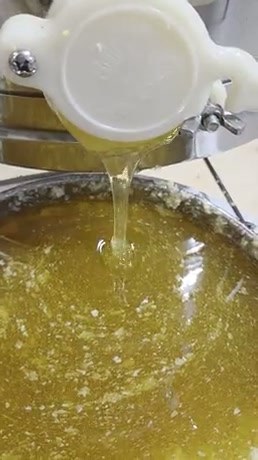 Fresh Honey Harvest: 25 Kilograms of Liquid Gold