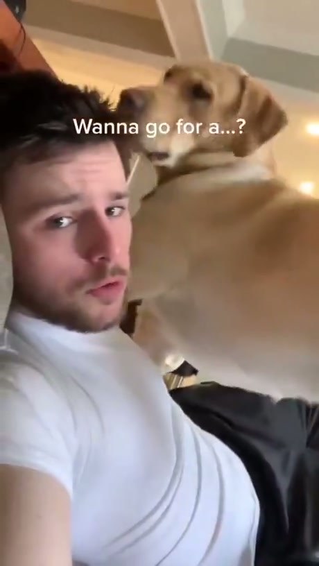 Dogs Reacting to the Magic Word 'Walk'