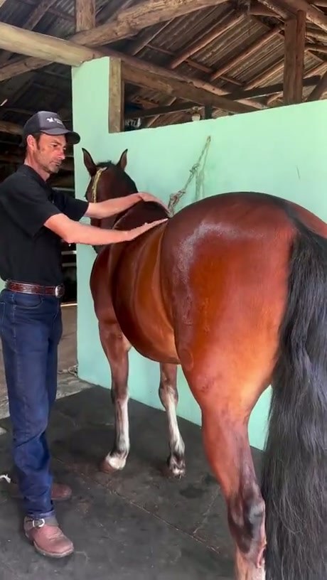 A Practical Demonstration on How to Properly Handle a Horse's Hoof