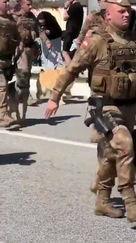 Golden Retriever Joins Military Personnel on Patrol