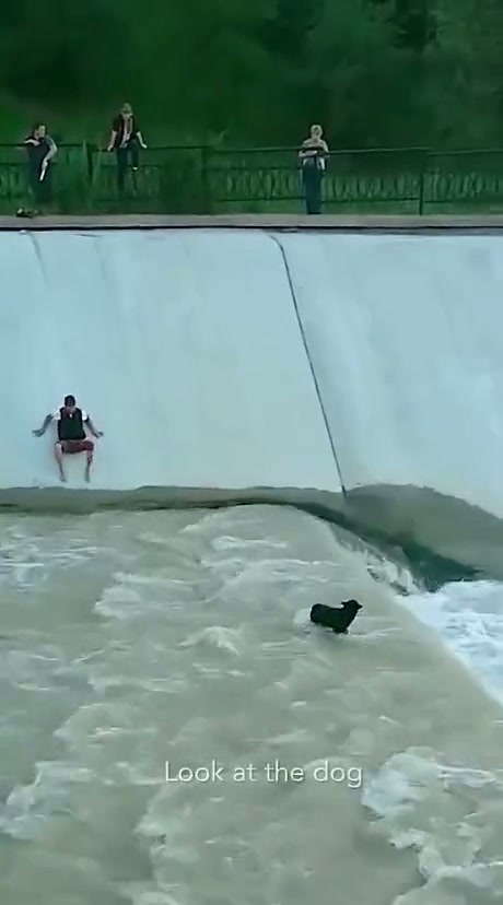 Bystanders Work Together to Rescue a Dog Trapped in a Concrete Spillway