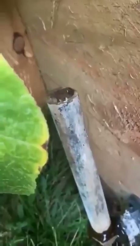 Behold - Video