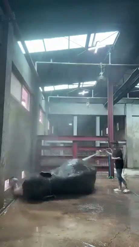 Finally addressing the elephant in the room, giving it a bath and making sure it is happy - Video