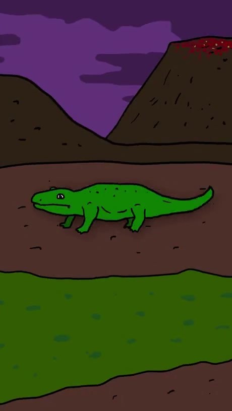 A Paleontological Discovery: Fossilized Final Moments