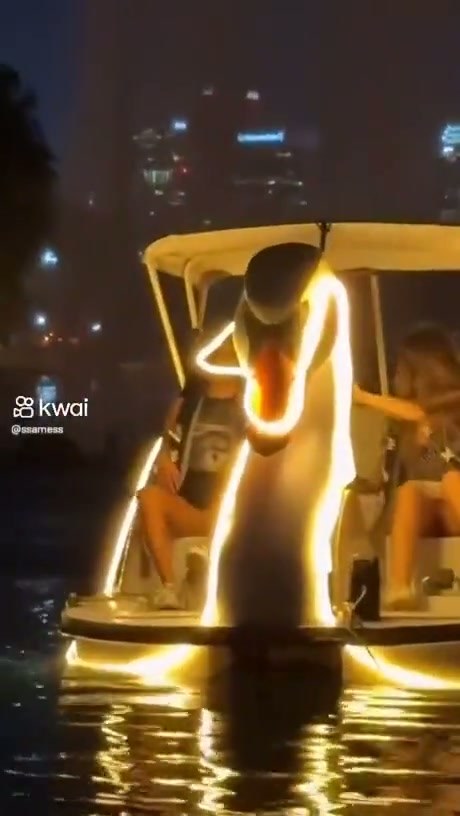 Nighttime Swan Boat Ride Takes an Unexpected Turn