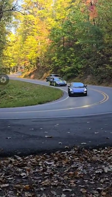 Just because you’ve got an expensive sports car doesn’t mean you know how to drive - Video