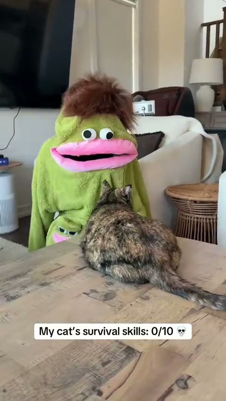 He's cool being eaten - Video