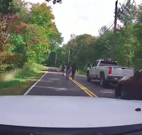 One Person Clears a Roadblock While Others Watch