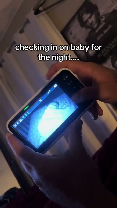 Night Vision Monitor Reveals Unexpected Guest in Baby's Crib