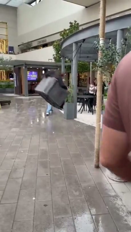 Unfortunate Encounter Between a Pedestrian and a Mall Swing