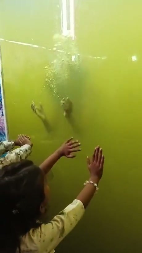 India’s Aquarium mermaid…Uh.. I am speechless - Video
