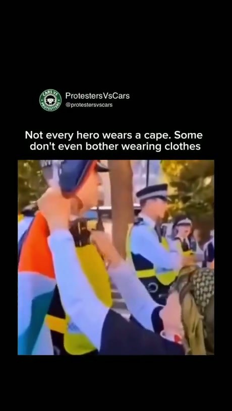 Viral Video Shows Person Striking Police Officer with Pan