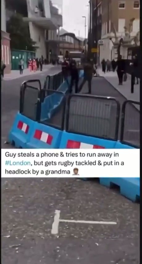 Grandma Takes Down Phone Thief in London Street